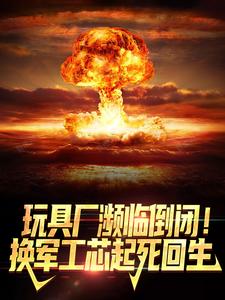 陆枫小说《玩具厂濒临倒闭！换军工芯起死回生》在线阅读