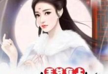 王爷在上：爱妃束手就擒小说的免费电子版在哪里可以下载或阅读？-百合文学