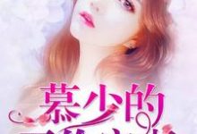 慕少的天价宠妻小说,慕少的天价宠妻章节在线阅读-百合文学
