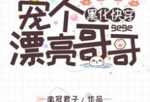 黑化快穿:宠个漂亮哥哥小说完结了吗?在哪里可以免费读到?-百合文学