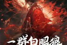 顾寒小说叫什么（一群白眼狼，也配值得保护？免费阅读）-百合文学