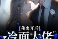 我离开后，冷面大佬红了眼眶南浅陆北墨小说免费阅读-百合文学