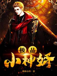 极品小神婿叶天陈雅丽小说大结局免费试读