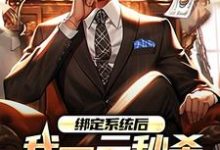 绑定系统后，我一元秒杀一辆奔驰小说有没有完结版在线？-百合文学