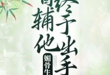 主人公叫 凌绾绾赵怀羿的小说哪里免费看-百合文学