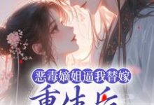 恶毒嫡姐逼我替嫁，重生后我气疯她小说全文阅读需要付费吗？寻找免费资源-百合文学