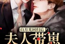 温曦厉廷玺是哪本书的主角？寻找白月光回归后，夫人带崽要离婚免费阅读-百合文学