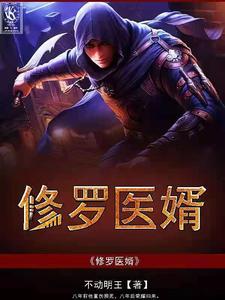 修罗医婿段飞韩菱纱，修罗医婿在线无弹窗阅读