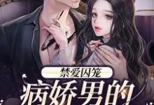 季晏清慕之桃为主角的小说禁爱囚笼：病娇男的独占欲在线阅读-百合文学