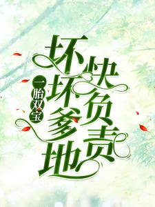 一胎双宝：坏坏爹地快负责章节免费在线阅读，南宫丞沈茉染完结版