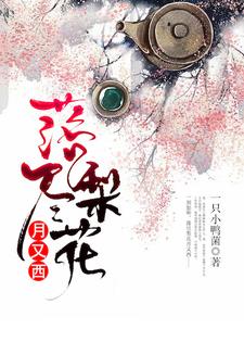 落尽梨花月又西陆灵曦顾临渊小说在线章节免费阅读