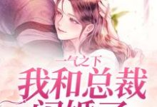 一气之下,我和总裁闪婚了小说,一气之下,我和总裁闪婚了免费阅读-百合文学
