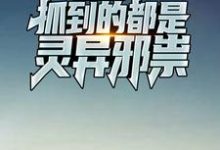 我积极报案,抓到的都是灵异邪祟陈子夜小说免费阅读-百合文学