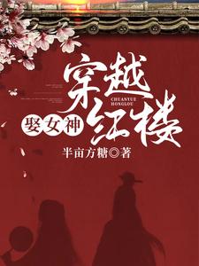 男女主人公叫沈睿泽林黛玉的小说免费资源