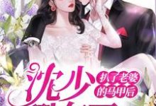 扒了老婆的马甲后，沈少翻车了免费阅读，扒了老婆的马甲后，沈少翻车了章节在线阅读-百合文学