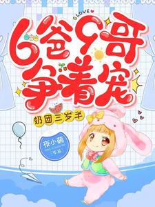 主人公叫爱宝儿战枭封慕辰盛启星的小说哪里免费看