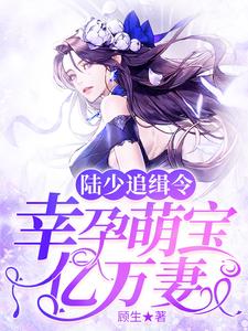 南溪陆景深陆夏南雨涵小说《陆少追缉令：幸孕萌宝亿万妻》在线阅读