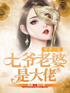 求好孕三宝：七爷老婆是大佬小说的全文免费阅读链接
