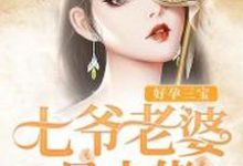 小说《好孕三宝:七爷老婆是大佬》章节免费阅读-百合文学