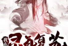 陈煜炎戮辰西小说叫什么（我在灵气复苏当掌门免费阅读）-百合文学