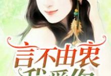 言不由衷我爱你小说,言不由衷我爱你蓝允陌陆轻昀-百合文学