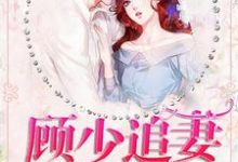 寻找能够免费阅读顾少追妻三十六计小说的平台-百合文学