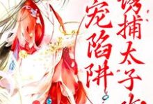 甜宠陷阱：诱捕太子攻略小说无弹窗阅读的网站推荐-百合文学