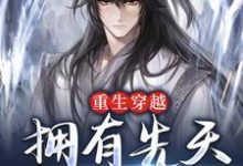 主角林棋赢天凤小说重生穿越：拥有先天纯阳体质免费阅读-百合文学