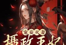 宠妾灭妻？摄政王妃她不干了最新章节，宠妾灭妻？摄政王妃她不干了免费阅读-百合文学