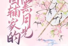 主人公叫傅挽傅迟的小说首辅家的黑月光在线阅读章节-百合文学