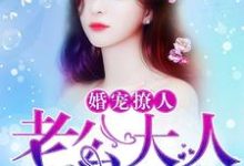 哪里能找到老公大人有点坏小说的最新更新和免费章节？-百合文学