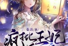 想读叶瑾安君南陌的故事，哪里可以免费找到疯批王妃要和离偏执王爷傻眼倒追？-百合文学