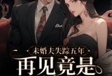 未婚夫失踪五年:再见竟是别人丈夫小说阅读,未婚夫失踪五年:再见竟是别人丈夫完结版-百合文学