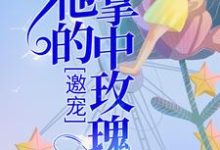 求宁岁陆昀晏小说免费资源-百合文学