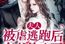 夫人被虐逃跑后，秦爷他疯了小说的所有章节都能在哪里免费读到？-百合文学