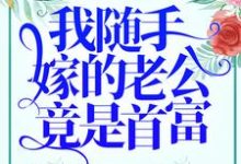 我随手嫁的老公竟是首富?小说,我随手嫁的老公竟是首富?章节在线阅读-百合文学