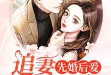 哪里能找到先婚后爱：追妻全程候命小说的全部章节？-百合文学