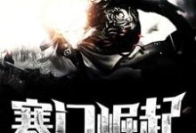 完结版《寒门崛起》免费阅读-百合文学