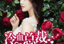 苏暖冷寂小说《冷血总裁求放过》在线阅读-百合文学