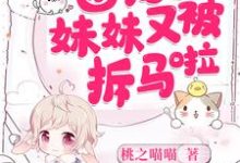 已完结小说《团宠妹妹又被拆马啦》章节在线阅读-百合文学