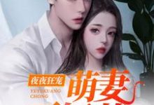 夜夜狂宠:萌妻不好惹免费阅读,夜夜狂宠:萌妻不好惹章节目录-百合文学