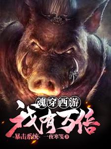 《魂穿西游：我有万倍暴击系统》小说章节列表免费试读，卞庄小说在线阅读