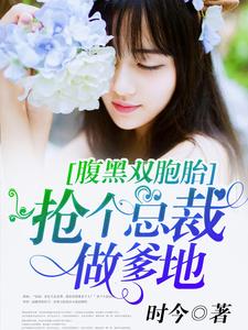 腹黑双胞胎：抢个总裁做爹地小说，腹黑双胞胎：抢个总裁做爹地 程海安陆一琛