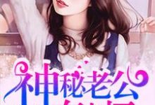 神秘老公有点坏小说的免费电子版在哪里可以下载或阅读？-百合文学