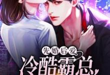 先婚后爱:冷酷霸总追妻路漫漫小说的免费电子版在哪里可以下载或阅读?-百合文学