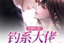 《先婚后爱!钓系大佬偏执求爱》全集免费在线阅读(叶晚晚冷之瑾)-百合文学