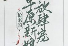 小说《抢来的草原新娘放肆宠》在线章节阅读-百合文学