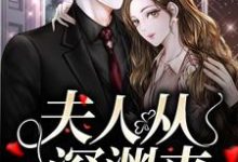 简茵熹傅霆灏为主角的小说夫人从深渊来在线阅读-百合文学