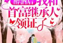 已完结小说《醉酒后，我和首富继承人领证了》章节免费阅读-百合文学