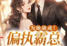 焱蒼宇拧洛小说《为她破戒!偏执霸总独宠她》在线阅读-百合文学